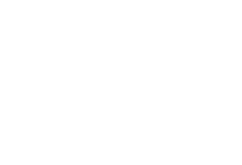 Vipal